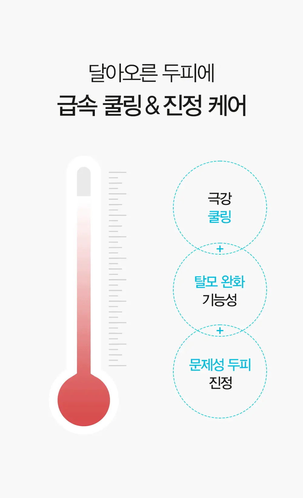 [쿨링감UP/탈모완화]달리프 애플민트 쿨링 샴푸 더블기획 (500ml+500ml) 상세페이지 17